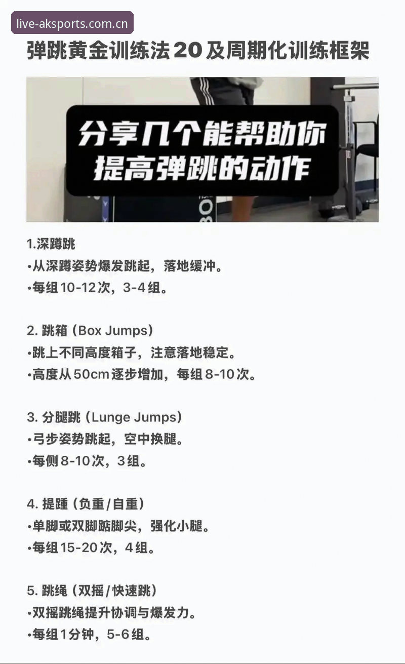 AK体育使用教程 揭秘AK体育使用教程:从入门到精通的完整指南