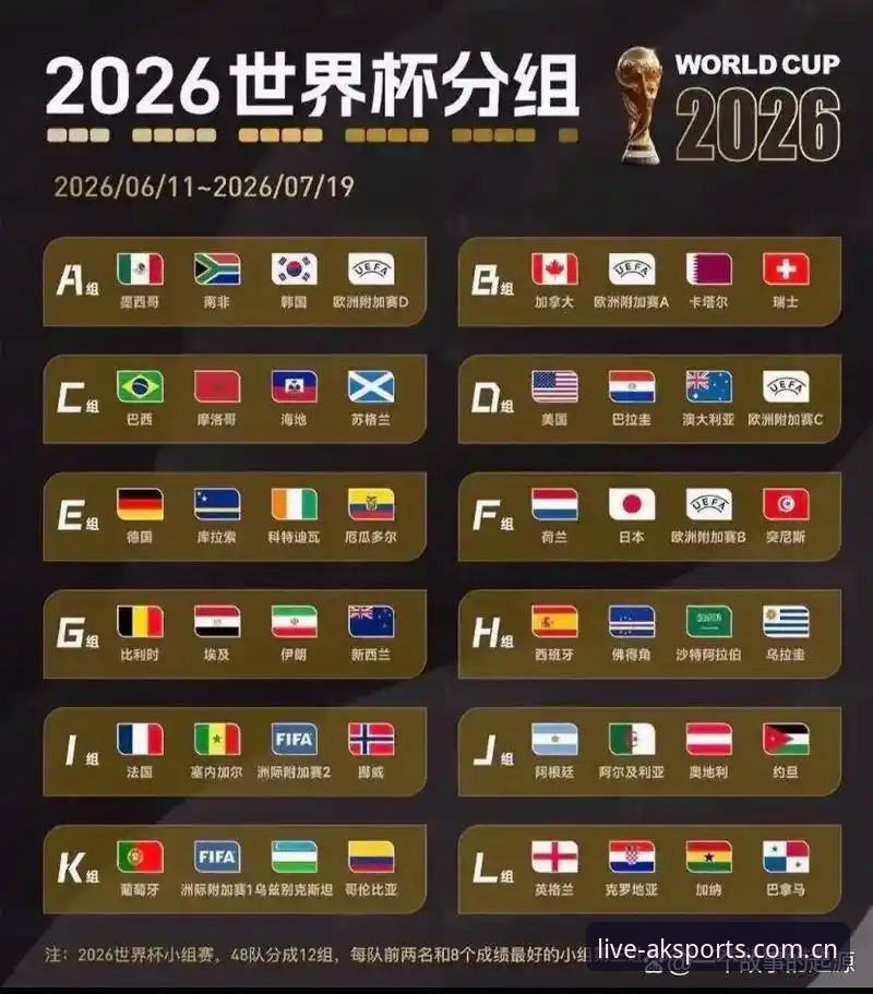 AK体育官网 资深用户分享:从世界杯门票风波看国际赛事观赛背后的签证困境